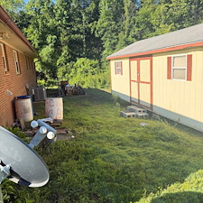Overgrown Lawn Cleanup in Burlington, NC 2